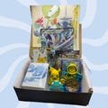 Pokemon Poster, Ultra Pro Deck Box, Ultra Pro Sleeves, 6 Pokemon Booster Packs, Pokemon Jumbo Card, Squishy Pikachu, Coin, Bellibolt Eraser